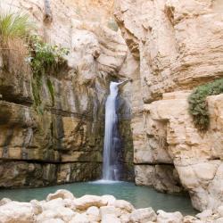 Moshav Ramot 31 hotels