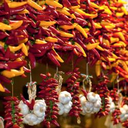 Lajosmizse 5 pet-friendly hotels