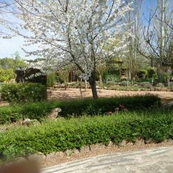 Borba 9 hotels with parking