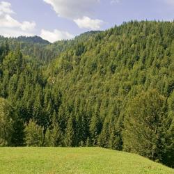 Băile Olăneşti 16 bed & breakfast
