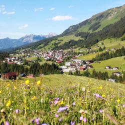 Riezlern 7 spa hotels