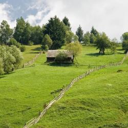 Fundata 13 B&Bs