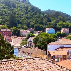 Amarante 101 acomoda&ccedil;&otilde;es