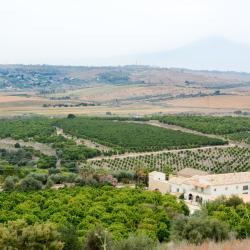 Carlentini 26 hotels