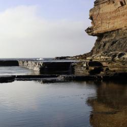 Terrigal 84 holiday homes