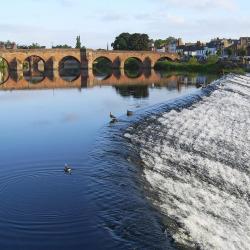 Dumfries 45 pet-friendly hotels