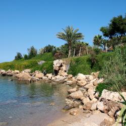 Paralimni 7 resorts