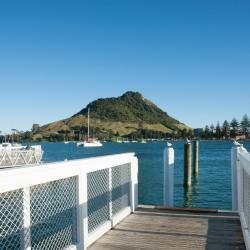 Mount Maunganui 115 hotelov