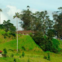 Quimbaya 3 glamping sites