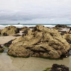 Bude 20 B&Bs