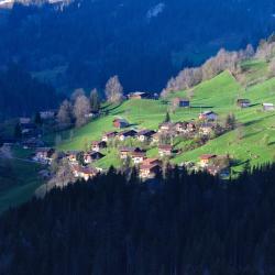 Wilderswil 3 chaty