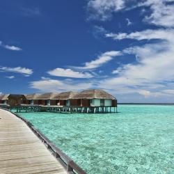 Dhiffushi 20 hotel