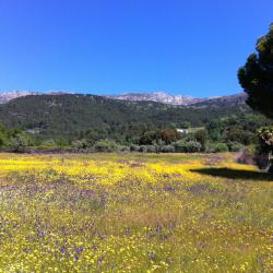 Piedralaves 11 hotel dengan parkir