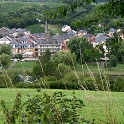 Ehnen 3 pet-friendly hotels