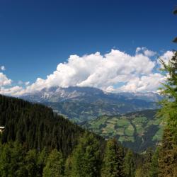 Fohnsdorf 21 pet-friendly hotels