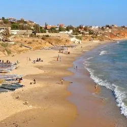 토우밥 디아발오