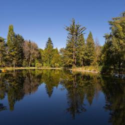 Pedras Salgadas 4 holiday rentals
