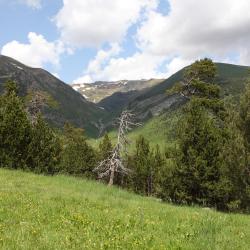 Sant Chulija de Lorija