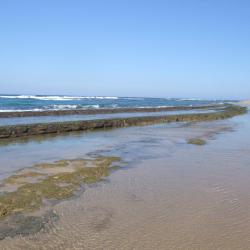 Isabela 21 beach rentals