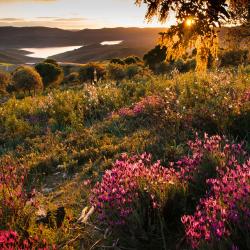 Llerena 3 hoteles con pileta
