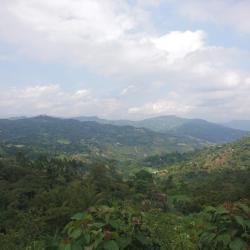 La Vega 12 glamping sites