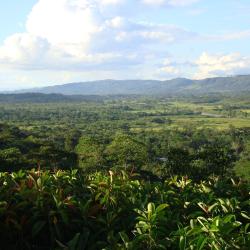 Moyobamba 47 hotels