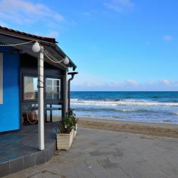 Albissola Marina 31 pet-friendly hotels