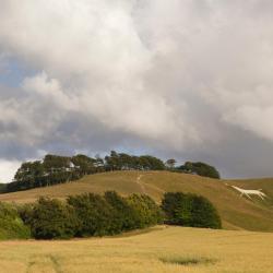 Calne 7 pet-friendly hotels