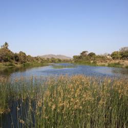 Sasan Gir 3 chalets de montaña