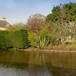 Witney 4 B&Bs