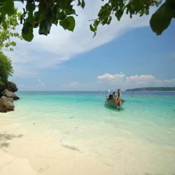 Trang 4 hostels