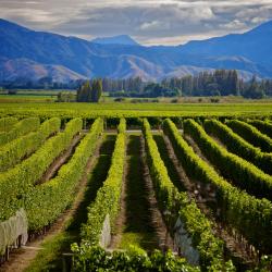 Blenheim 89 hotels with parking