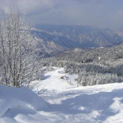 Iiyama 6 cabins