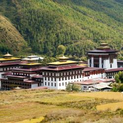 Thimphu 75 hotels