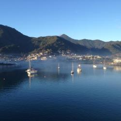 Picton 95 hotels with parking