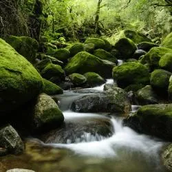 屋久島 4軒のシャレー