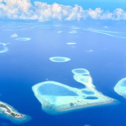 Kihaadhoo 3 hotels