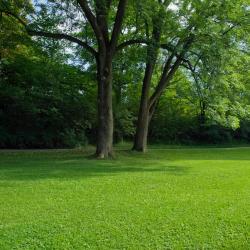 Hallstadt 9 cheap hotels