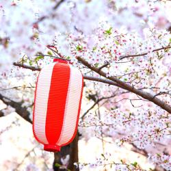 Sagamihara 25 hotels with parking