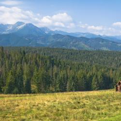 Biały Dunajec 32 homestays
