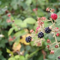 Neukirchen 4 Hotels mit Pools