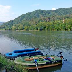Brezoi 7 guest houses