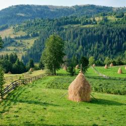 Albac 11 of the guest houses