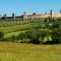 Monteriggioni 12 bændagistingar