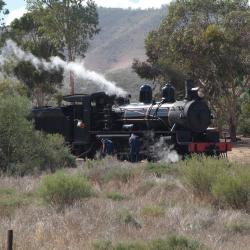 Gympie 20 hotels