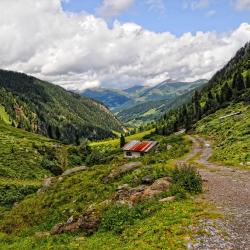 Russbach am Pass Gschütt 34 of the family hotels