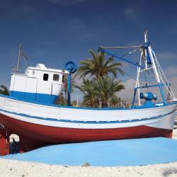 Puerto de Mazarrón 39 of the villas