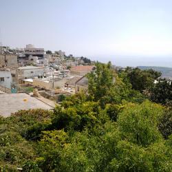Safed 17 B&Bs