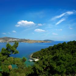 Bitez 5 all-inclusive stays