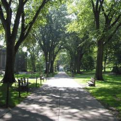 State College 3 cottages